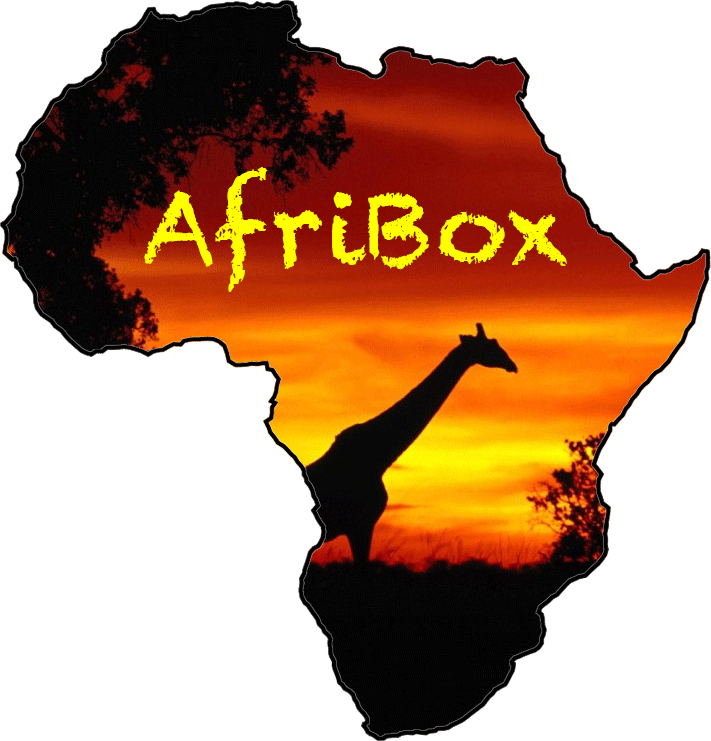 The AfriBox Initiative